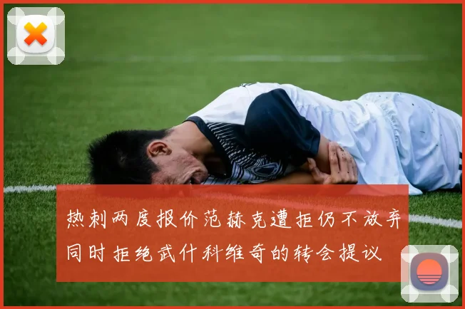 热刺两度报价范赫克遭拒仍不放弃同时拒绝武什科维奇的转会提议