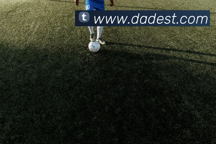 MKSports官方网站入口平台生态图